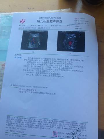 journal_insert_pic_836475718