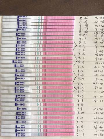 journal_insert_pic_836521576