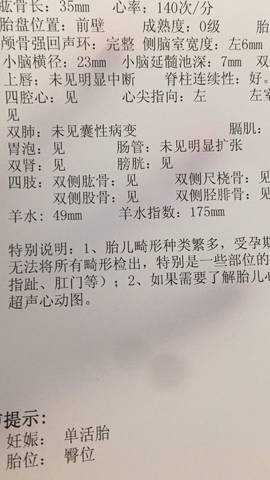journal_insert_pic_836720670