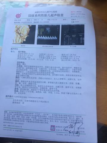 journal_insert_pic_836475729