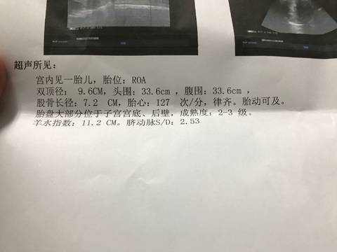 journal_insert_pic_837308636