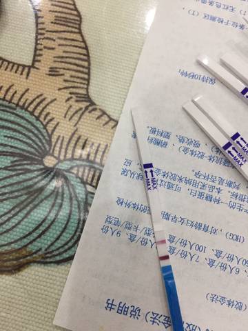 journal_insert_pic_838505556