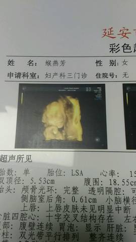 journal_insert_pic_838545166