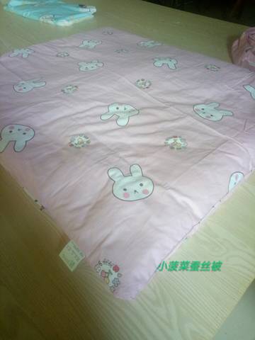 journal_insert_pic_838604154