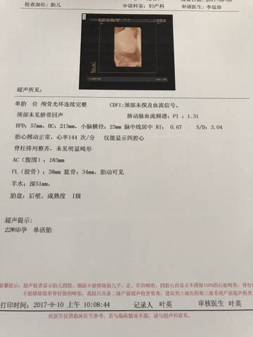 journal_insert_pic_838948558