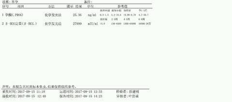 journal_insert_pic_839411325