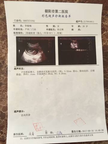 journal_insert_pic_840119939