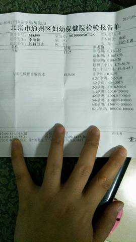 journal_insert_pic_839796882