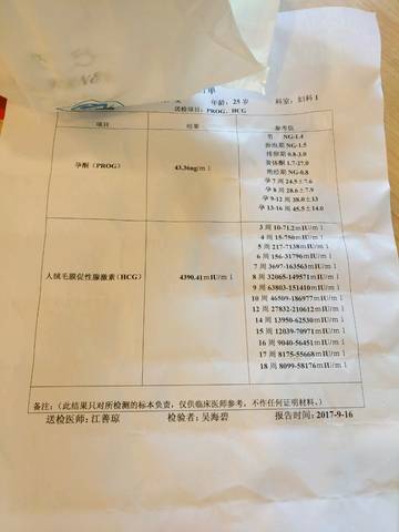 journal_insert_pic_840130412