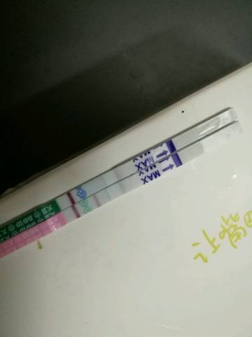 journal_insert_pic_840371280