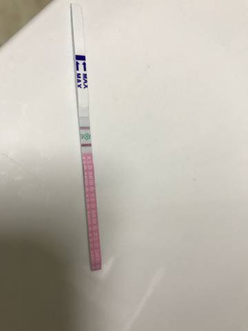 journal_insert_pic_841054560