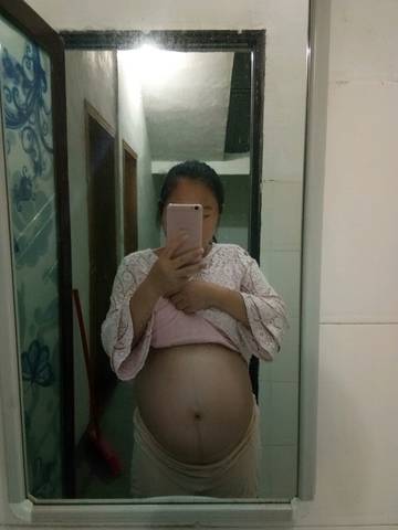 journal_insert_pic_841248335