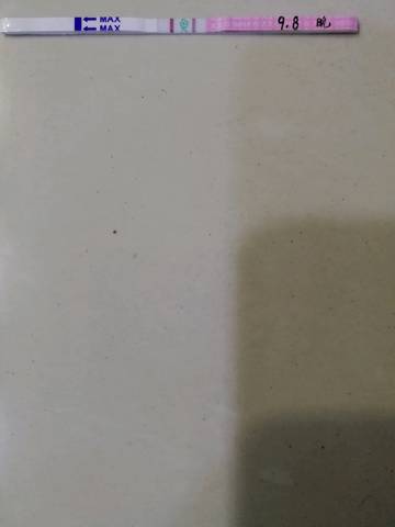 journal_insert_pic_841488121