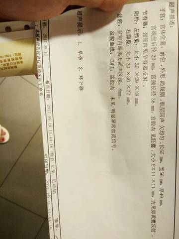 journal_insert_pic_841538598