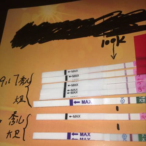 journal_insert_pic_841361487