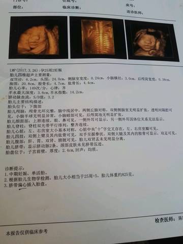 journal_insert_pic_842384677