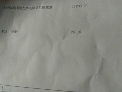 journal_insert_pic_843203416