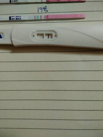 journal_insert_pic_842989566
