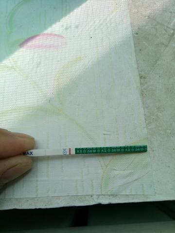 journal_insert_pic_843095100