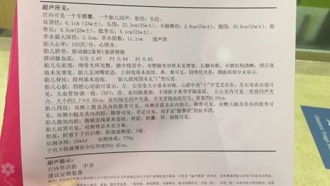 journal_insert_pic_843952793