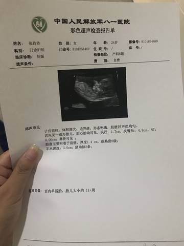 journal_insert_pic_843899817
