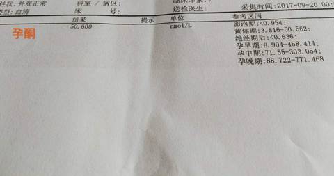 journal_insert_pic_844531357