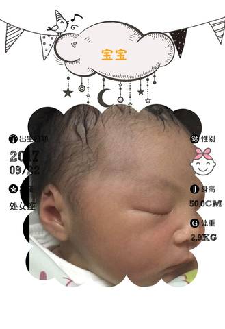 journal_insert_pic_845106186