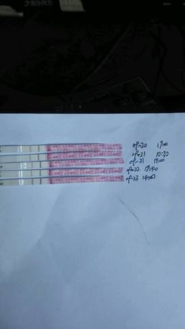 journal_insert_pic_845179622