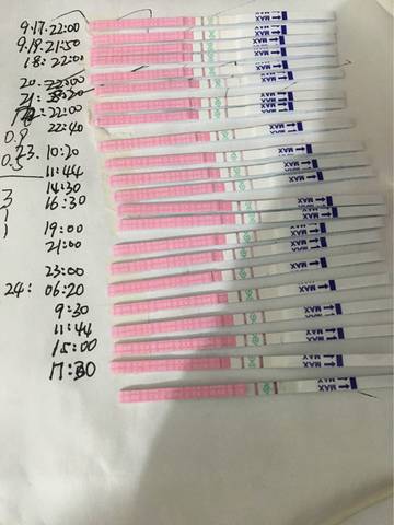 journal_insert_pic_846277701