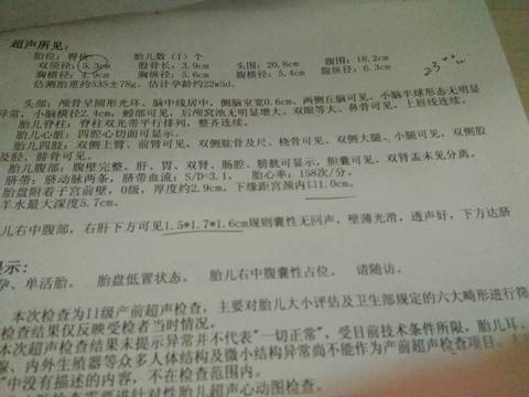 journal_insert_pic_847068746