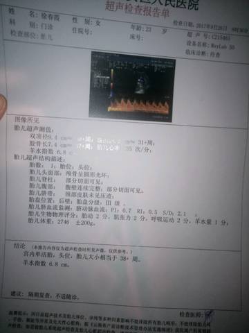 journal_insert_pic_848119496