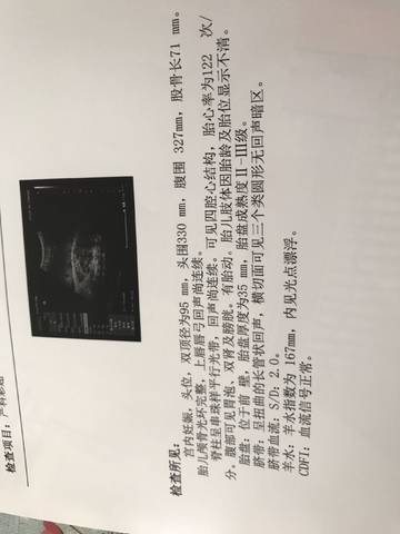 journal_insert_pic_848307618