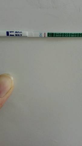 journal_insert_pic_848397043