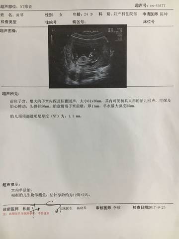 journal_insert_pic_848265289