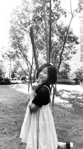 journal_insert_pic_848772466