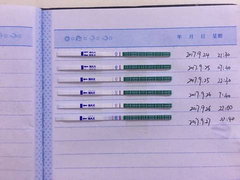 journal_insert_pic_848761292