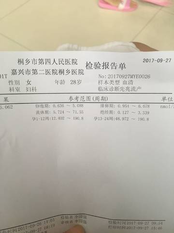 journal_insert_pic_848475334