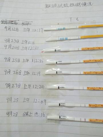 journal_insert_pic_849247978