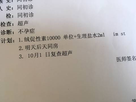 journal_insert_pic_848935009