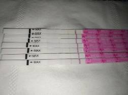 journal_insert_pic_849246611