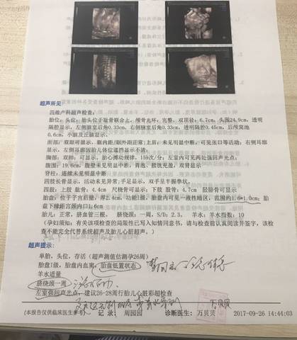 journal_insert_pic_849412984