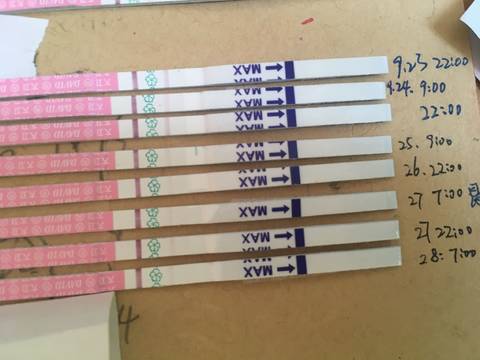 journal_insert_pic_848935005