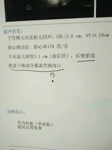 journal_insert_pic_848968580