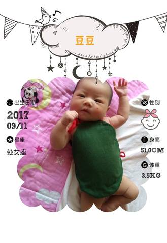 journal_insert_pic_849782401