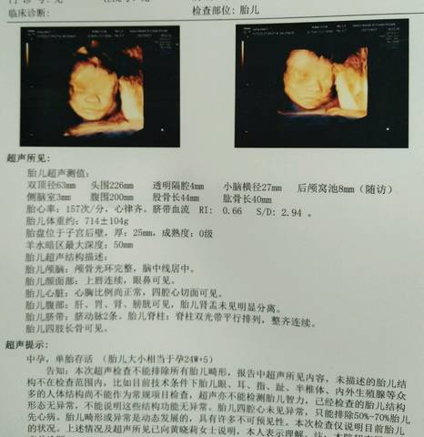 journal_insert_pic_849507816