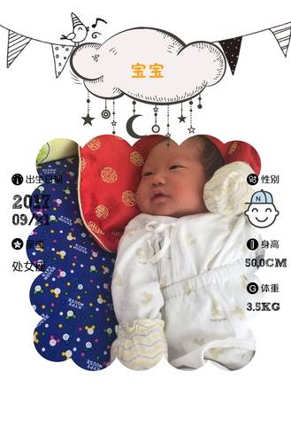 journal_insert_pic_849781396