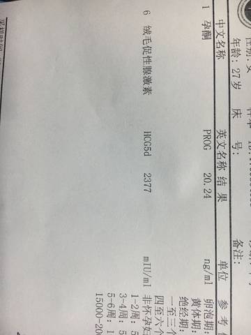 journal_insert_pic_850367951