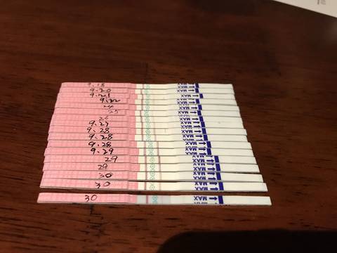 journal_insert_pic_850760315