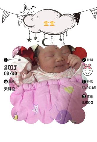journal_insert_pic_852802948