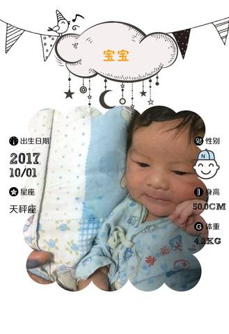 journal_insert_pic_852798454